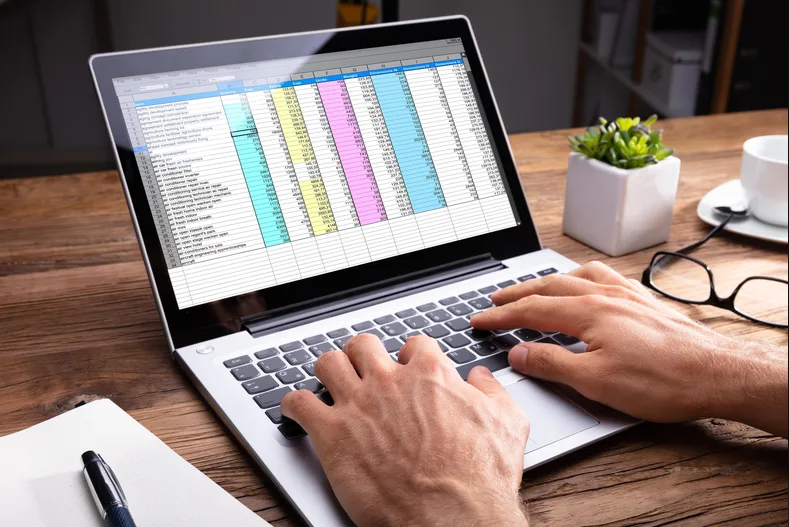 I will do accurate data entry in Excel and Google Sheets