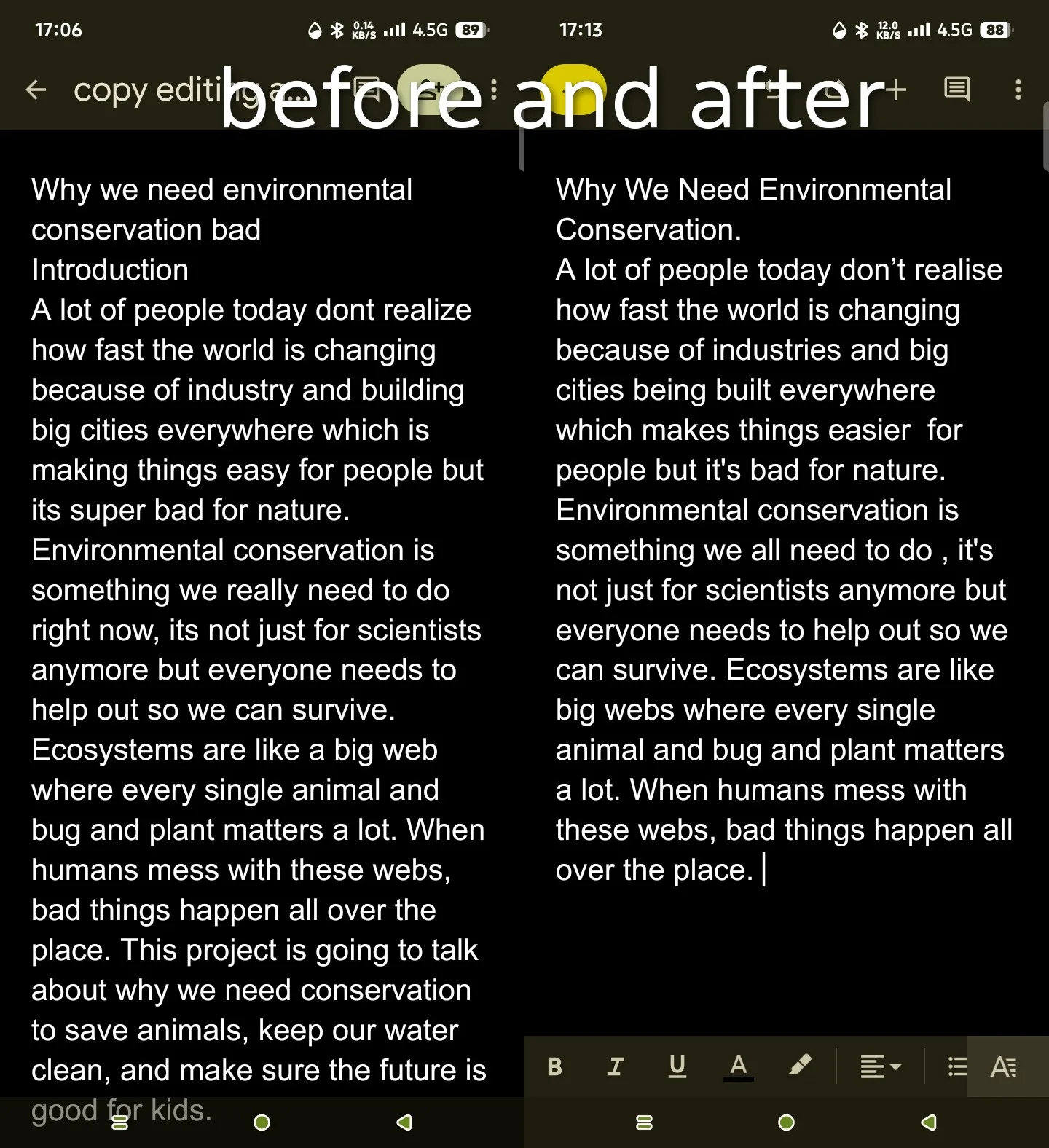I will professionally copy edit and proofread your work